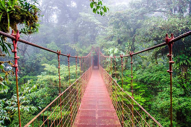 Monteverde Cloud Forest