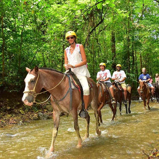 Horseback Riding