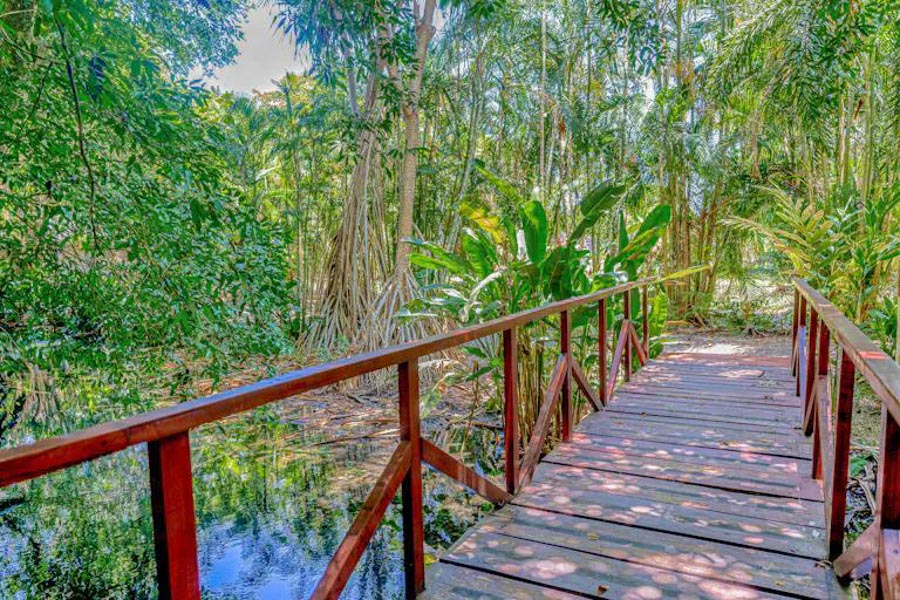 Macaw Condo in Jaco, Vacation Rentals Jaco